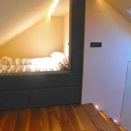 Apartman Wolfova *
